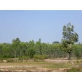 Property no. LSS-075