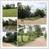 Property No. LSS-087